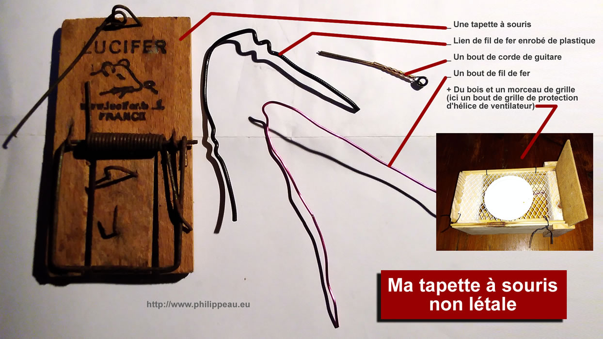 Lecture