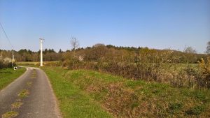 vers la forêt