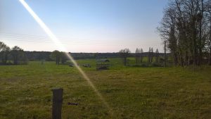 campagne mayennaise