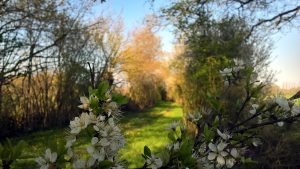 printemps