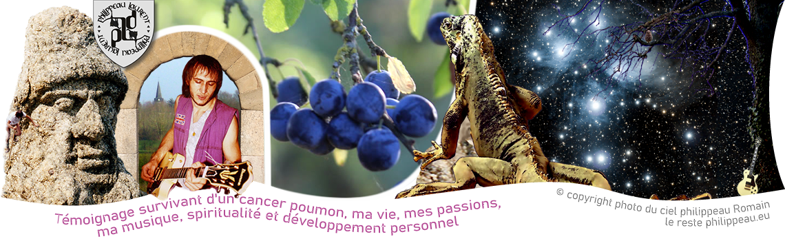 Fruits pour la faune local
