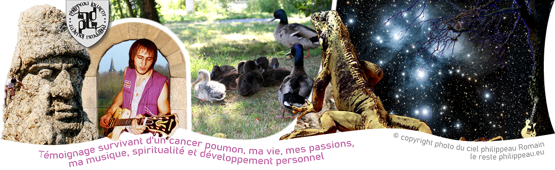 Une couvée de l'année