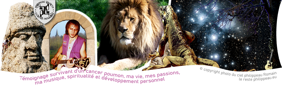 Refuge de l'arche - Lion