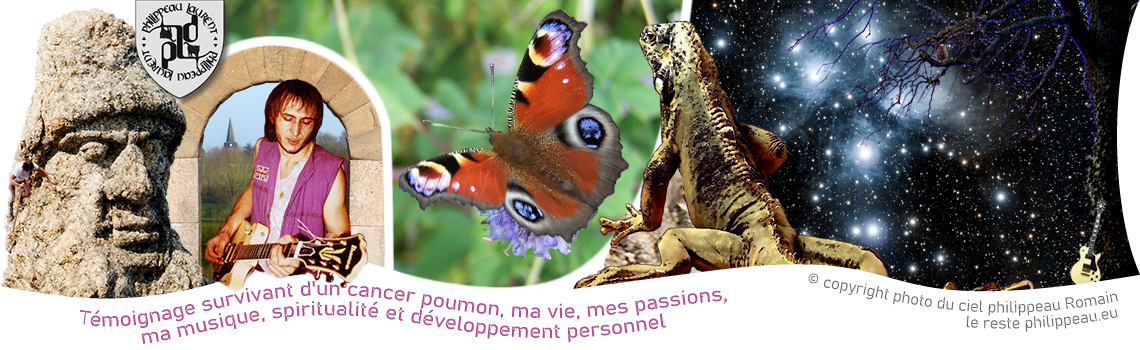 Papillon chez moi