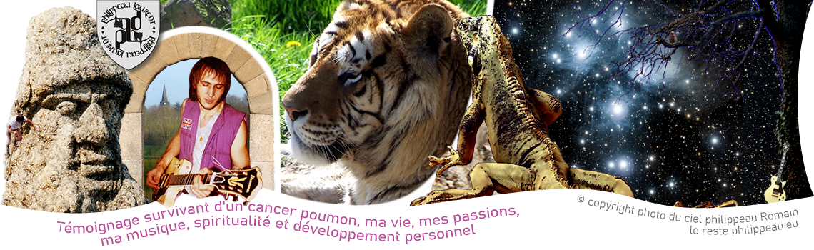 Refuge de l'arche - Tigre