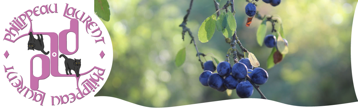 Fruits pour la faune local