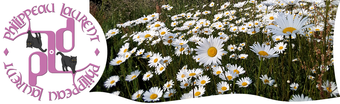 La noble Margueritte de Chez moi