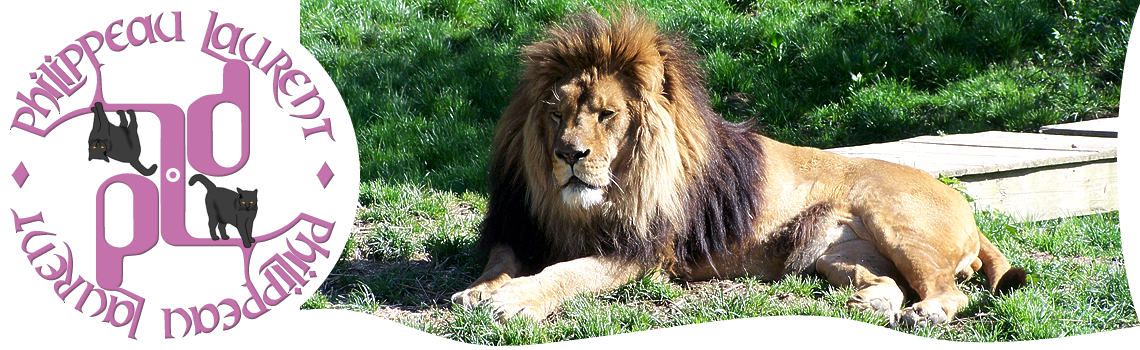 Refuge de l'arche - Lion