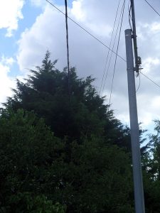 Angle de mon terrain où se trouve aussi une ligne électrique moyenne tension.