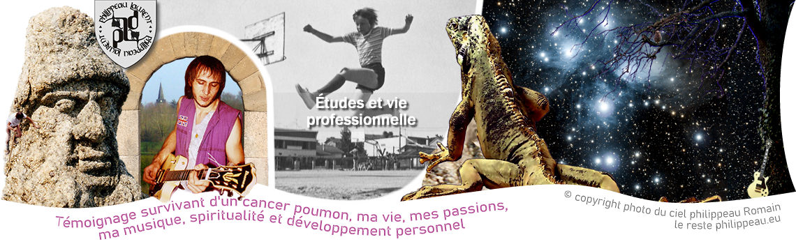 Études et vie professionnelle